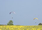 commes 2013 00128
