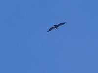 IMGP7720  -->