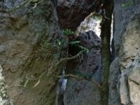 IMG 20170527 175305081  -->