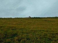 IMG 20151205 102901547