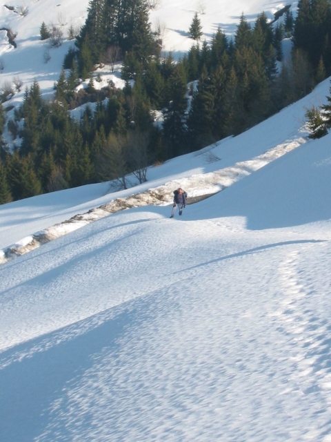 pf134 