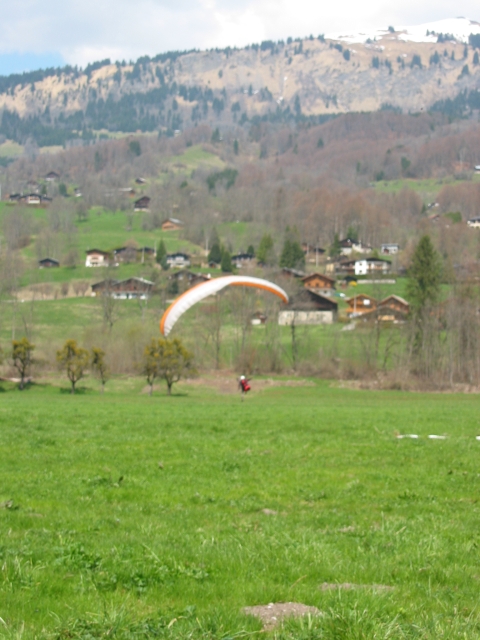 pf181 