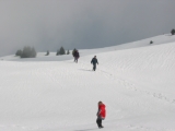pf101 