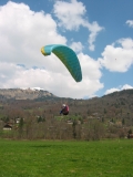pf169 