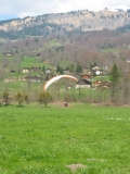 pf181 