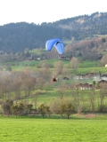 michel 029 