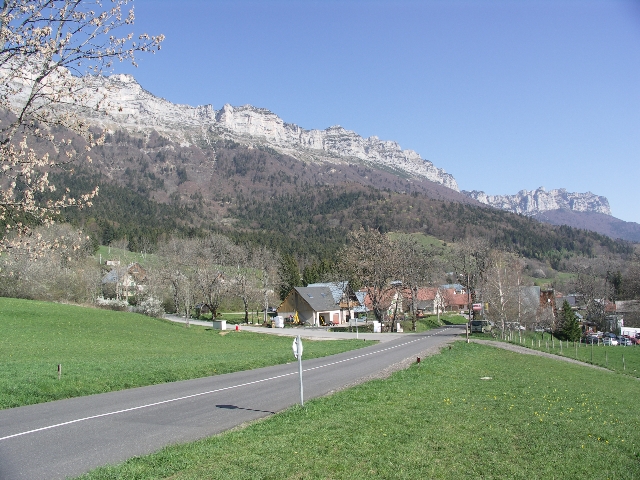 Photo 004 