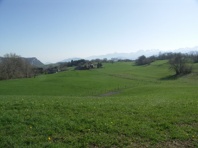 Photo 007 