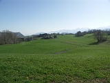 Photo 007 