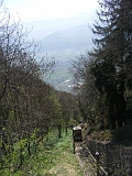 Photo 011 