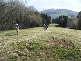 Photo 049 