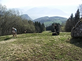 Photo 050 