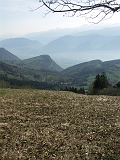 Photo 056 