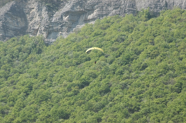 Photo 005 