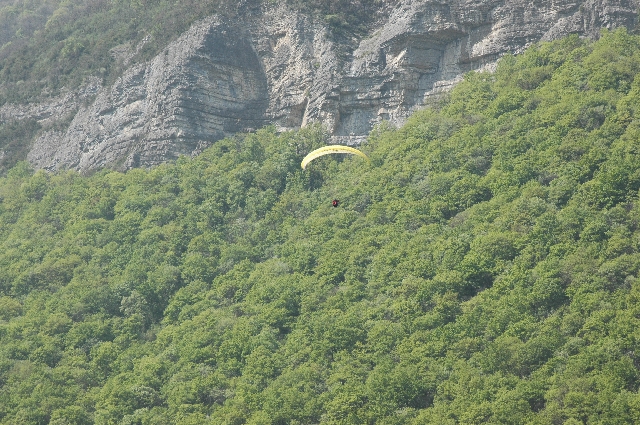 Photo 006 