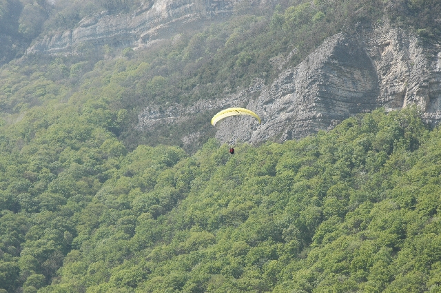 Photo 007 