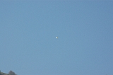Photo 003 