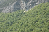 Photo 006 