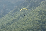 Photo 012 