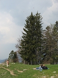 Photo 007 