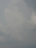 Photo 011 