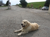 Photo 013 