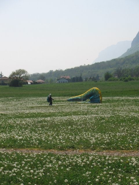 Photo 015 
