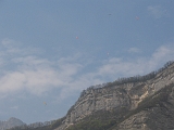 Photo 002 