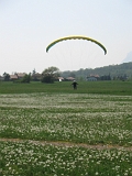Photo 013 