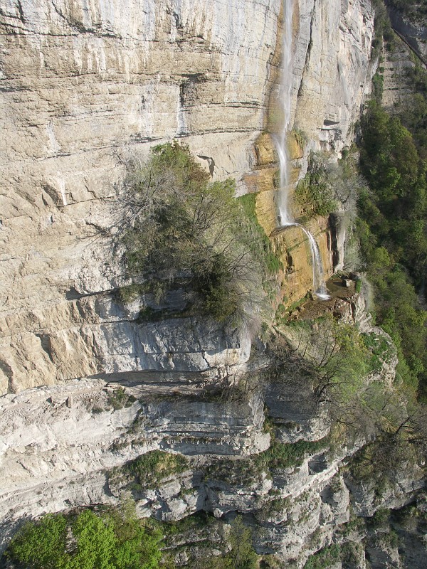 2009-04-24_00057