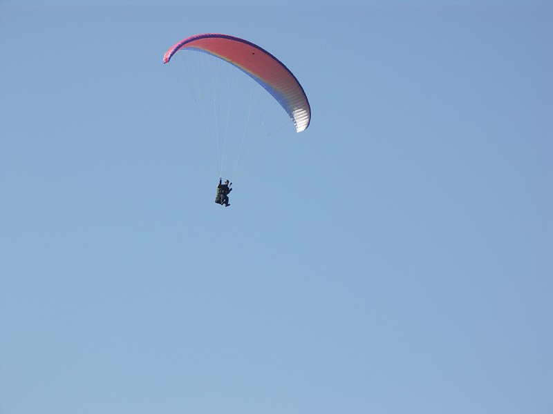 2009-04-24_00079