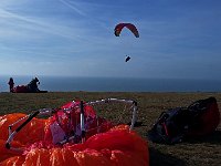 20190212 150624  -->  Celui-ci ira voir la plage