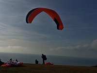20190212 160524  -->  Et celui-là ne partira pas . . .