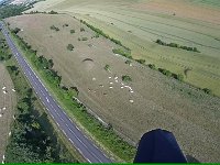vlcsnap-00013  -->  Les vaches quittent l'ombre et s'aventurent vers l'abreuvoir