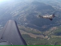 Millau et La Tournette